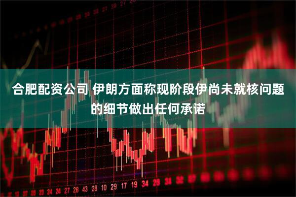 合肥配资公司 伊朗方面称现阶段伊尚未就核问题的细节做出任何承诺